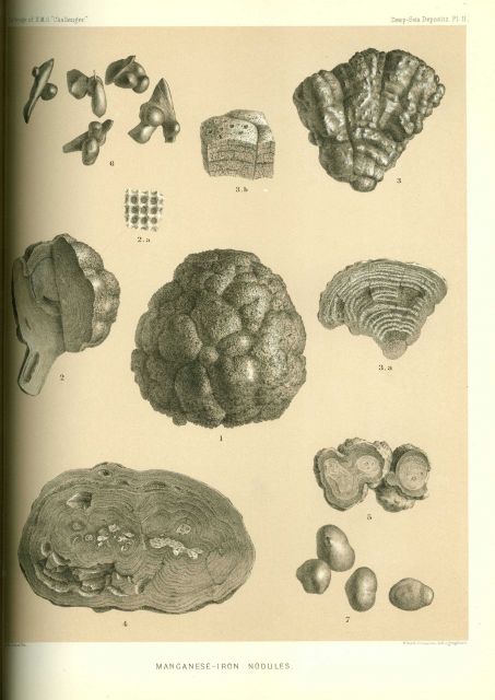 The Challenger Reports, Report on Deep Sea Deposits Picture