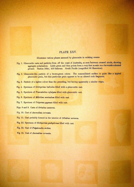 The Challenger Reports, Report on Deep Sea Deposits Picture