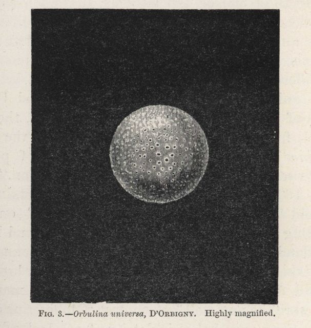 Figure 3 Picture