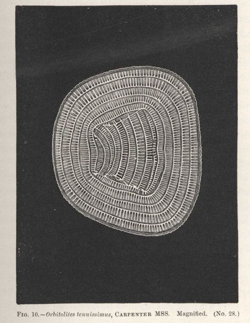 Figure 10 Picture