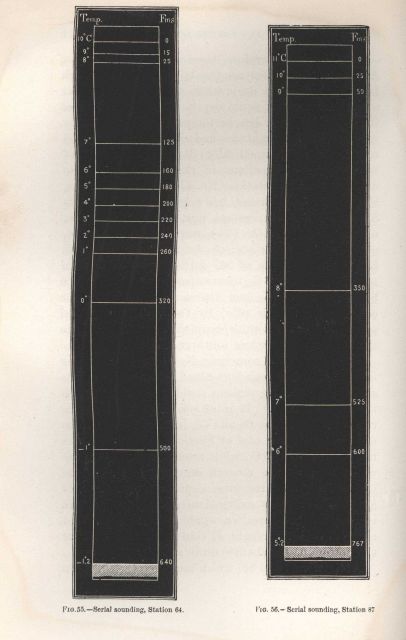 Figure 55 Picture