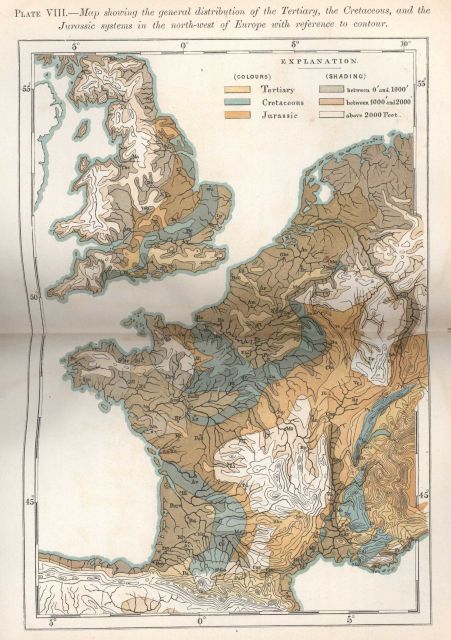 Plate VIII Picture