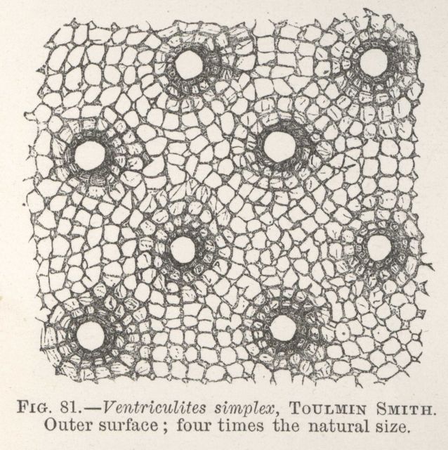 Figure 81 Picture