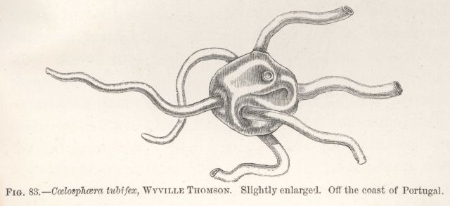 Figure 83 Picture