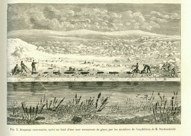 Cutaway view of dredging under ice by Nordenskiold VEGA expedition traversing Northeast Passage from 1878-1880 Picture