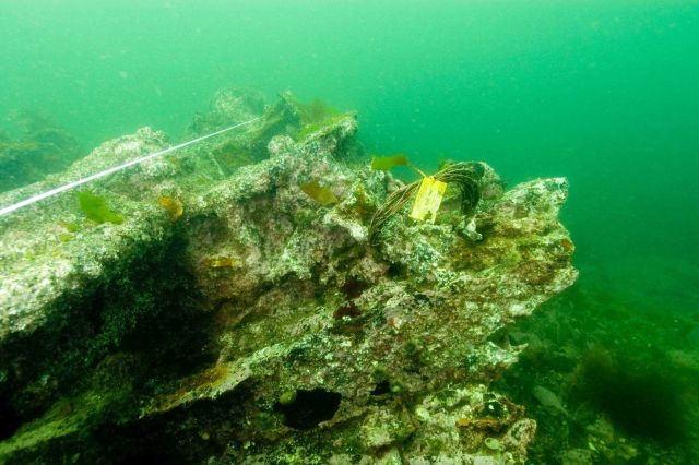 Baseline measurement over the remains of the Coast and Geodetic Survey Steamer HASSLER. Picture