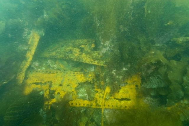 Remains of forward deck plates of the HASSLER. Picture