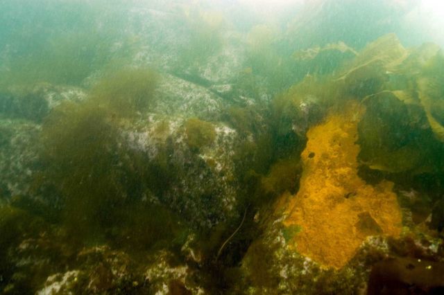 An iron plate from the HASSLER's bow embedded in the rock pinnacle mission to study the HASSLER. Picture