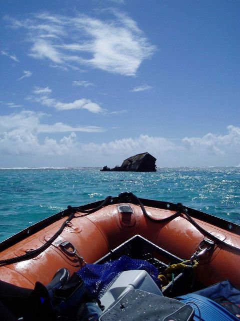 Exploring a derelict wrecked on the reef Picture