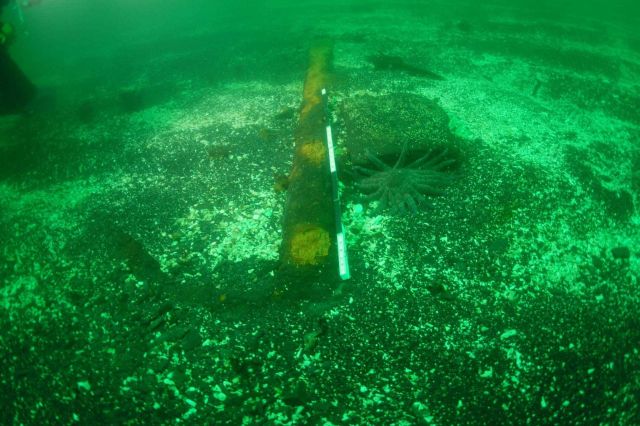 Partially buried anchor showing stock and arcuate fluke in lower half of image Picture