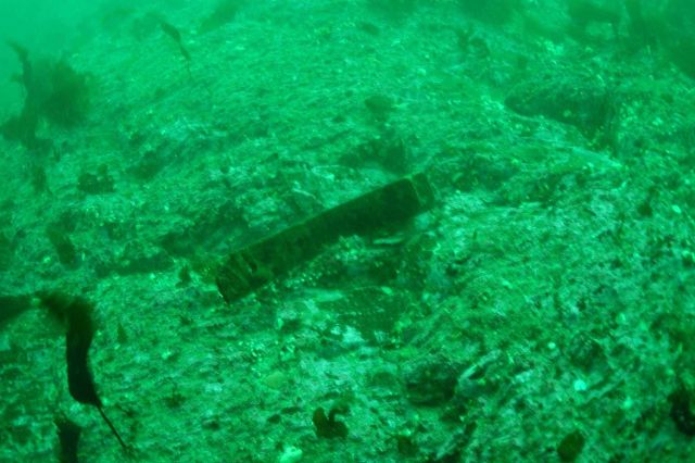 A gudgeon, a part of the rudder system of the Kad'yak laying on rock ledge. Picture