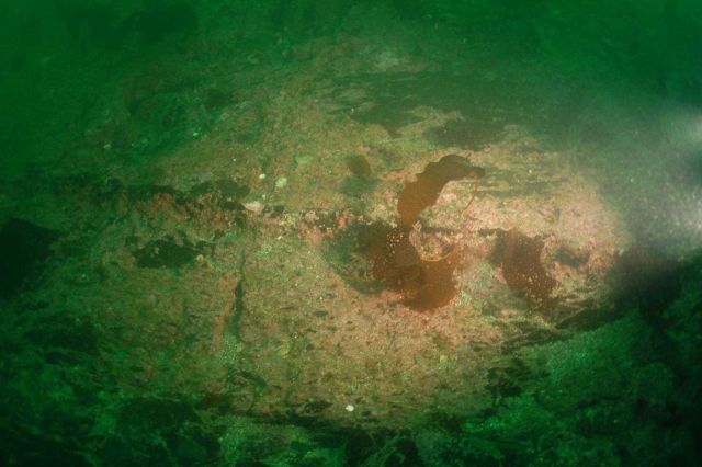 Anchor chain from the Kad'yak concreted to rock ledge Picture