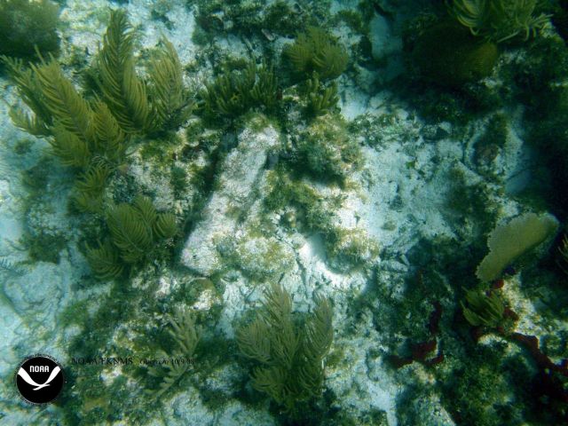 Remains of the wreck of the Ship GUERRERO Picture