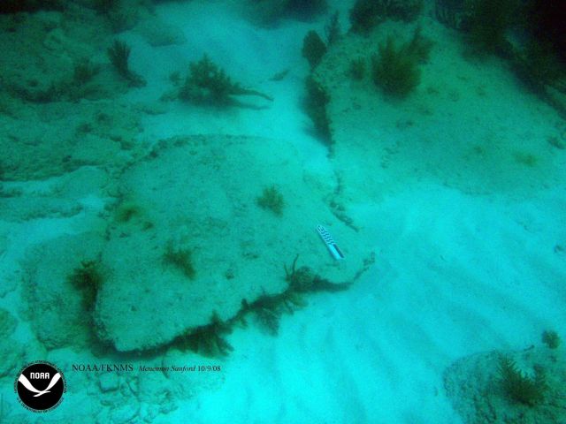 Debris associated with the wreck of the Ship MENEMON STANFORD Picture