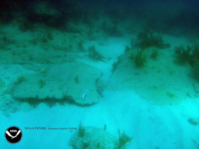Debris associated with the wreck of the Ship MENEMON STANFORD Picture