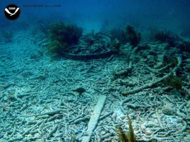 Debris associated with the wreck of the Ship THIORVA Picture