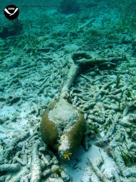 Debris associated with the wreck of the Ship THIORVA Picture