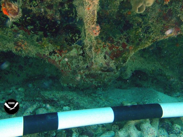 Debris associated with the wreck of the Ship THIORVA Picture