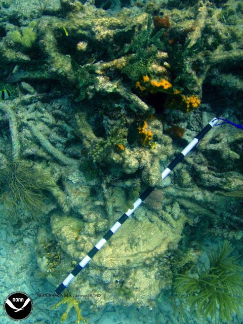 Debris associated with the wreck of the Ship THIORVA Picture