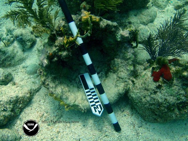 Debris associated with the wreck of the Ship THIORVA Picture