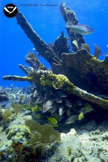 Debris associated with the wreck of the Ship CITY OF WASHINGTON Picture