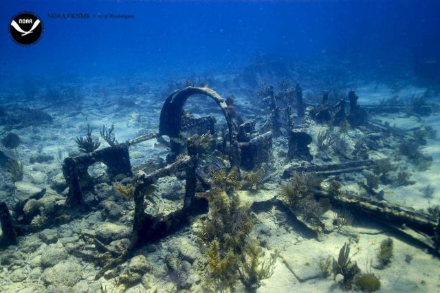 Debris associated with the wreck of the Ship CITY OF WASHINGTON Picture