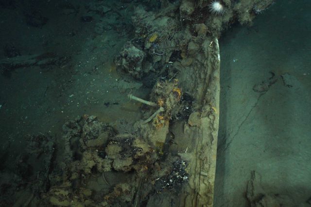 The Green Lantern Wreck, unknown wreck named for lantern artifact Picture