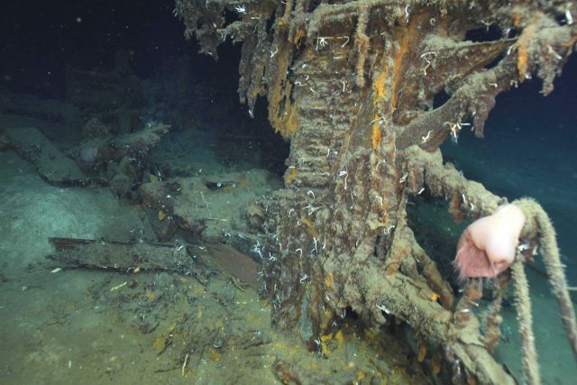 The stem and beak of the 7000 ft shipwreck, an unknown vessel. Picture