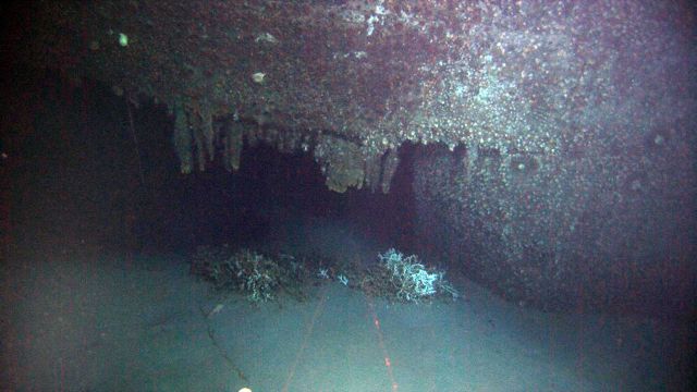 Large rusticles drip from the scarred hull of the GulfOil where the torpedo ripped through. Picture