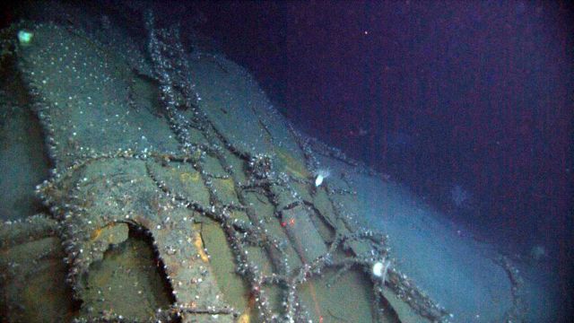 The stack was discovered intact resting beside the starboard hull Picture