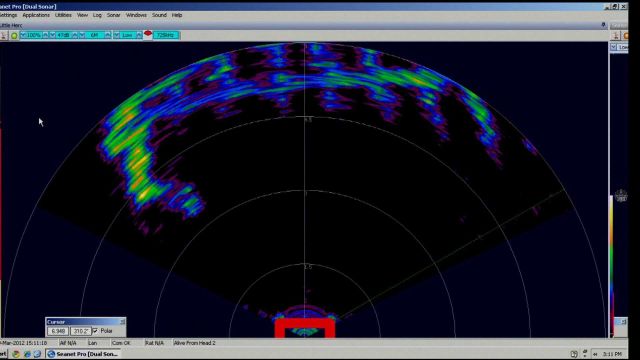 Forward scanning sonar on Little Hercules ROV picking up portion of shipwreck Picture