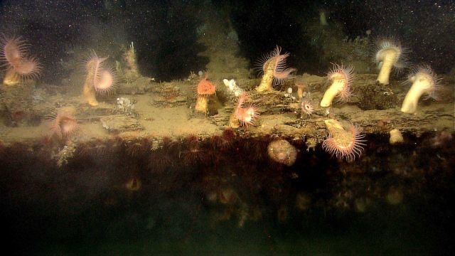 Site 15429. Picture