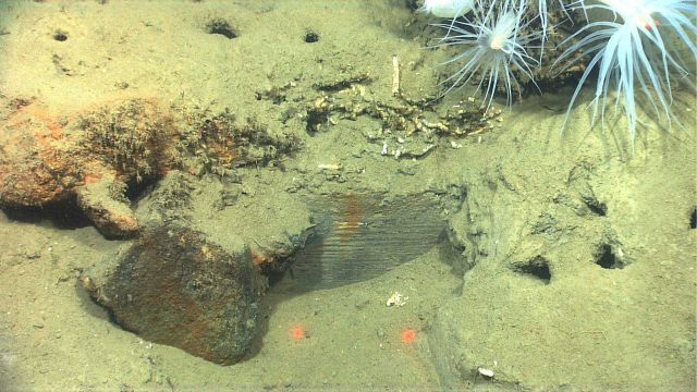 Shipwreck VK0986. Picture