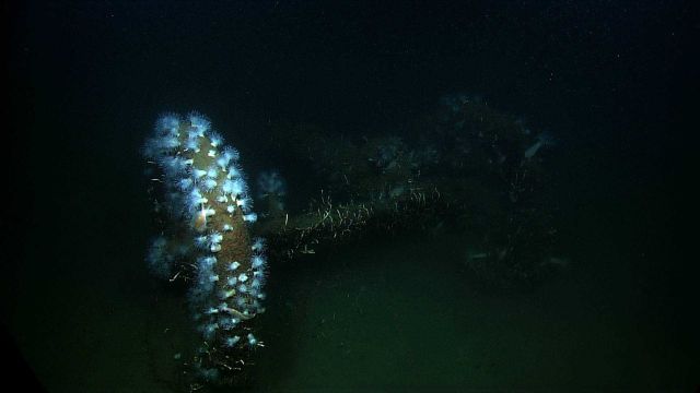 Hand wheel on bilge pump on wreck designated VK0986 Picture