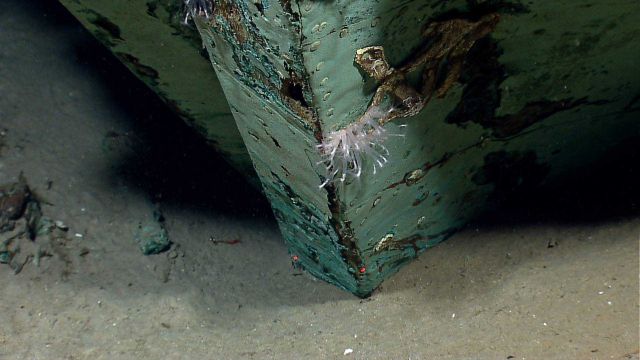 Portions of stern Picture