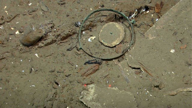 White circular object is a compass card with a gimbal ring Picture