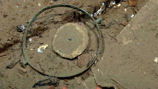 White circular object is a compass card with a gimbal ring Picture
