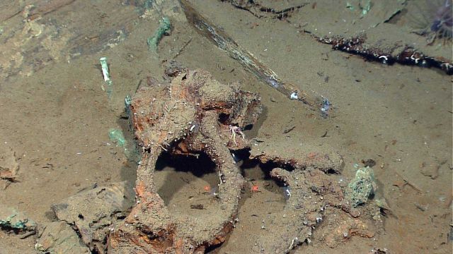 Wreck 15577. Picture