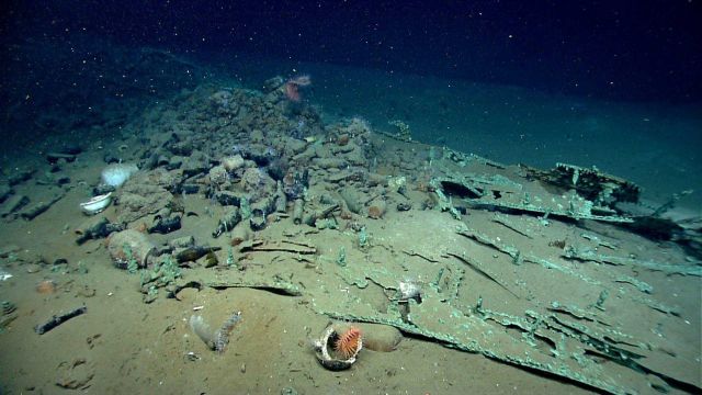Artifact from Monterrey C shipwreck Picture