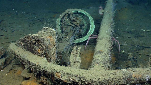 Artifact from Monterrey C shipwreck Picture