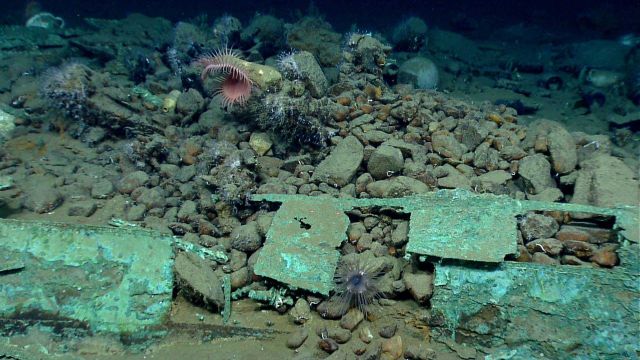 Artifact from Monterrey C shipwreck Picture