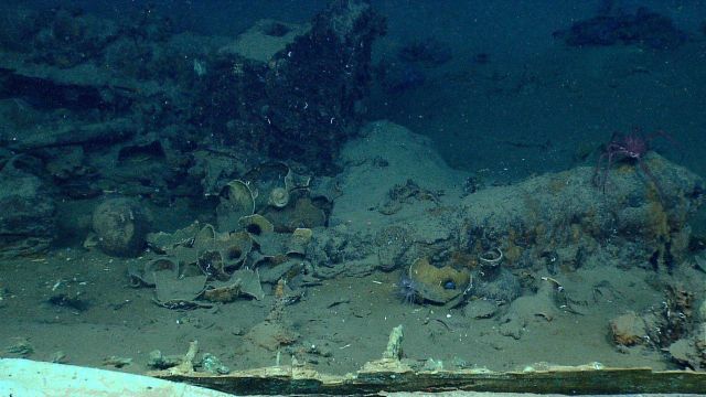Artifacts from Monterrey A shipwreck Picture