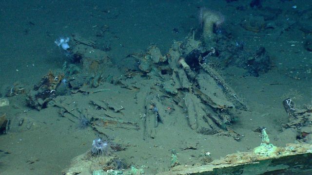 Artifacts from Monterrey A shipwreck Picture