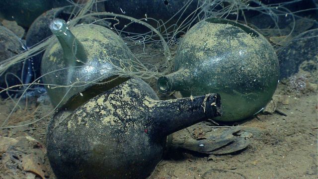 Artifacts from Monterrey B shipwreck Picture