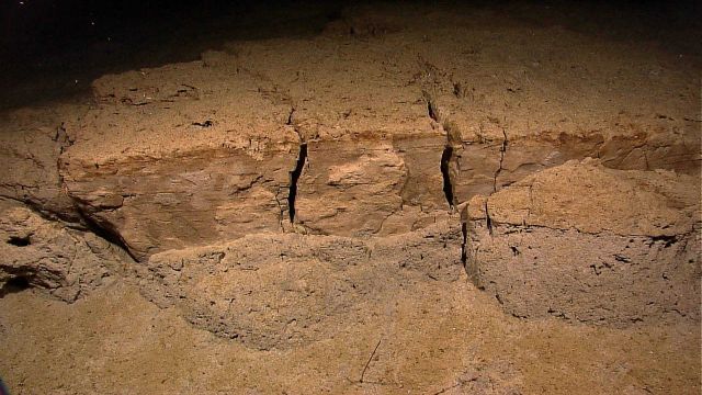 Layers of mud exposed. Picture