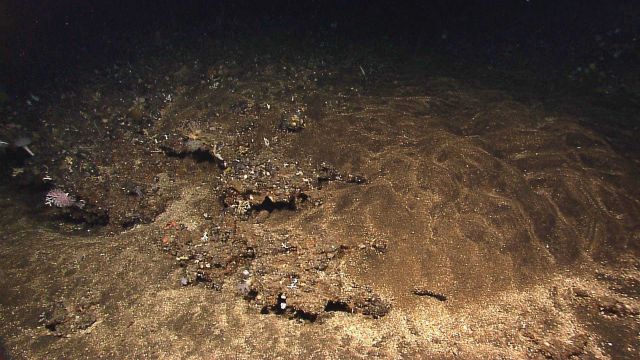 Area on right appears to be a flow of material that has covered up much material . Picture