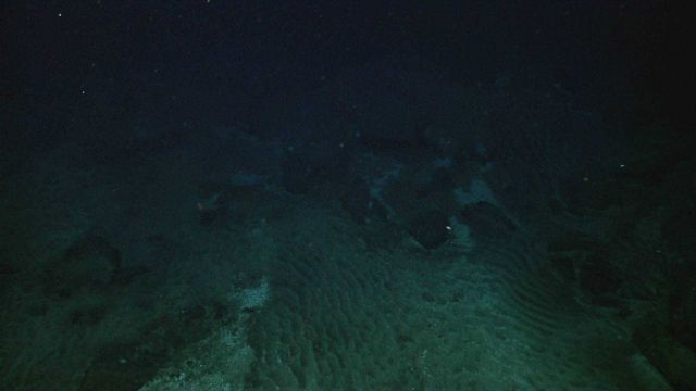 Looking down on ripple patterns in sediment interspersed with boulders. Picture