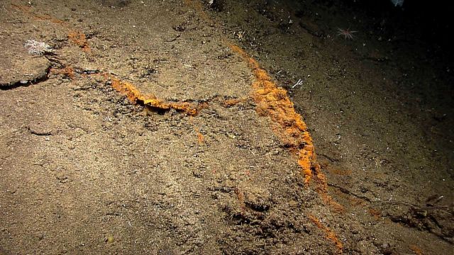 Iron oxide hydrothermal alteration of rock outcrop Picture