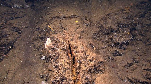 Hydrothermal alteration around a crevice Picture