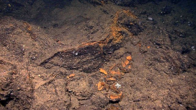 Iron oxide staining on edge of rock outcrop. Picture